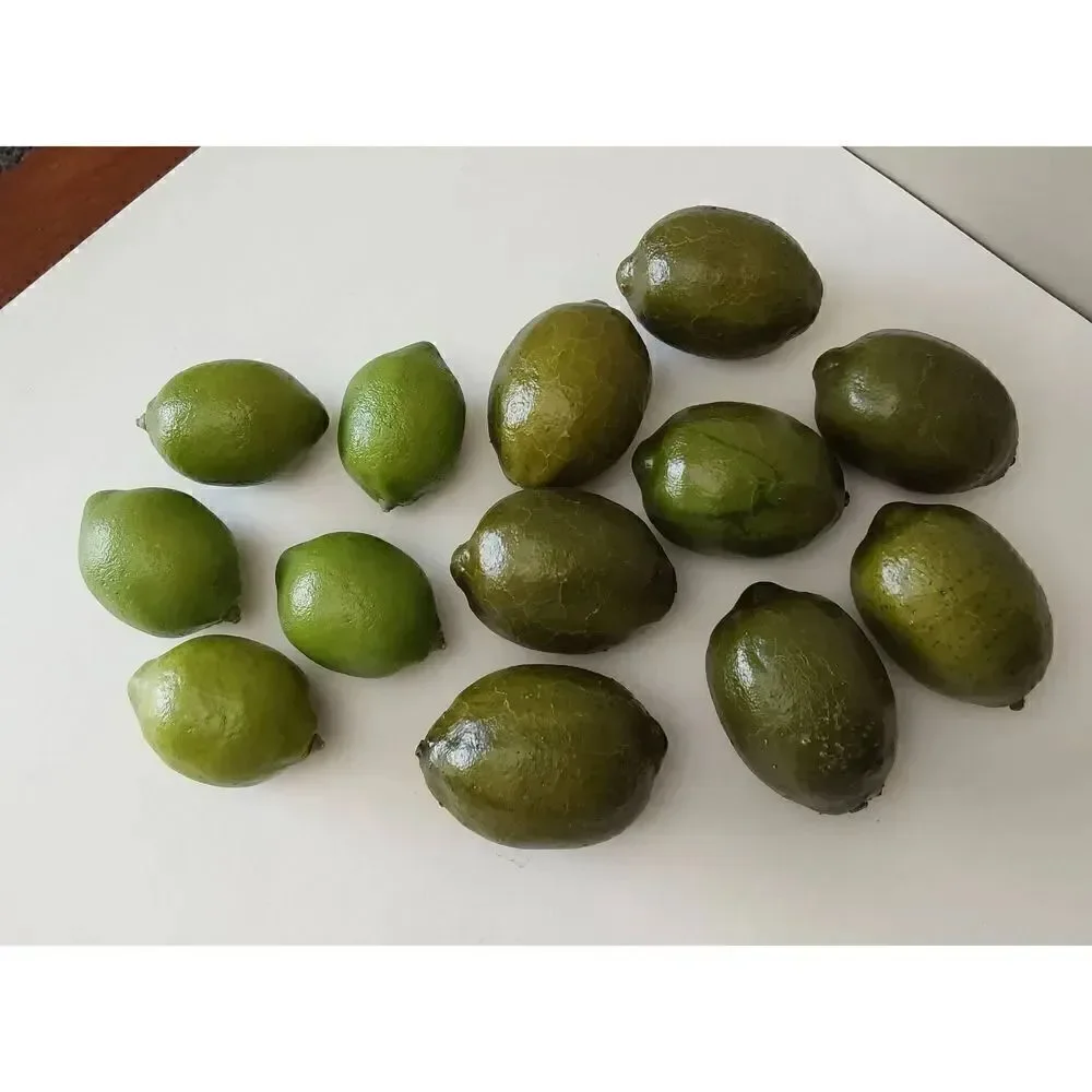 Faux Limes Lot of 13 Artificial Fruit Two sizes